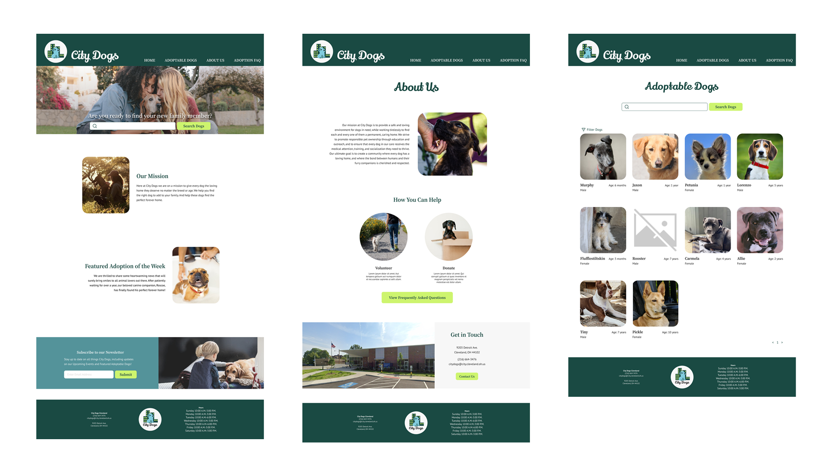 City Dogs Website Redesign project image